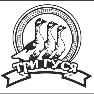 Логотип @trigysa - Три Гуся