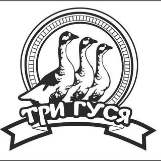 Логотип @trigysachat - Три Гуся ПРЕДБАННИК