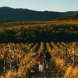 Логотип @trinity_couch - Путь к свободе | Вадим Палий