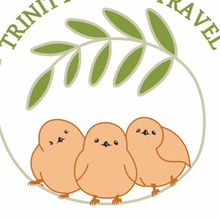 Логотип @trinitymomstravel - Турагентство «Тринити Мамс Трэвел»