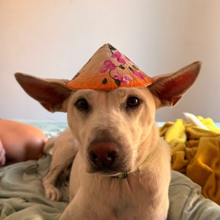 Логотип @trip_tusa - Трип туса