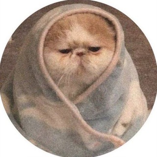 Логотип @tripl_temi - Tripl | темы и языки 🤍