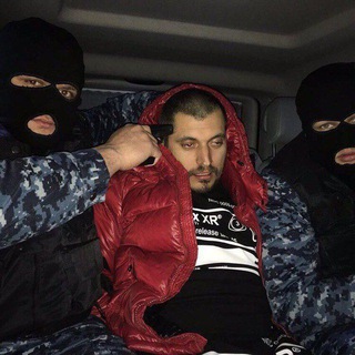 Логотип @trippov - Trippov🥶