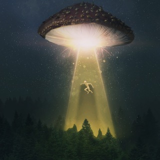 Логотип @tripsonic - ꓅꒓ꂑꉣꌚꆂꁹꂑꏸ ✨