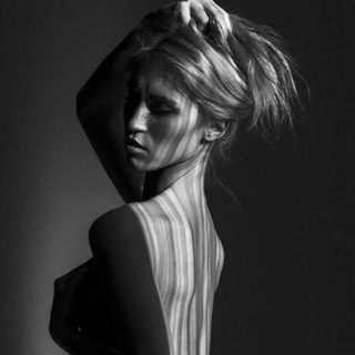 Логотип @triptelegramm - Telegram Trip