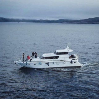 Логотип @triptonorth - Trip To North