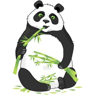 Логотип @trivia_de_panda - LA TRIVIA DE PANDA
