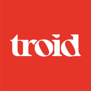 Логотип @troidorg - TROID