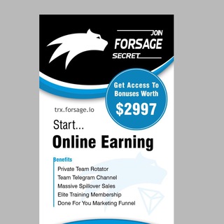 Логотип @tronforsagesecretteam - Forsage Secret Team