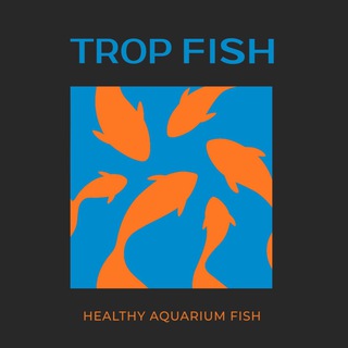 Логотип @tropfish_ukraine - TropFish | Про зообізнес в Україні