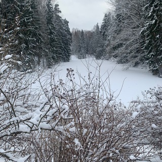 Логотип @troshtash - Siberian Wellness из глубин Сибири
