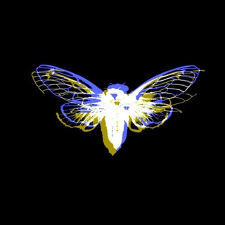 Логотип @trox_16 - CICADA 3301