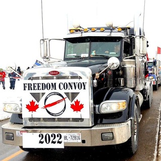 Логотип @truckersforfreedomglobal - TruckersForFreedom
