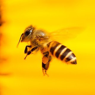 Логотип @trudog - Трудовые права работников | защита, трудовое право, трудовой кодекс