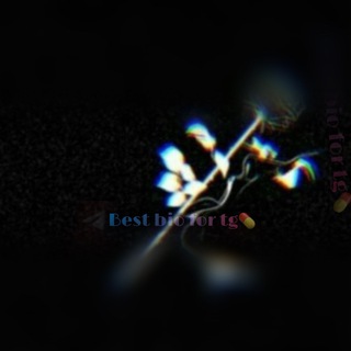 Логотип @truebiobest - Best bio for tg😍