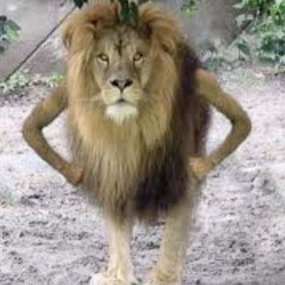 Логотип @truechat - True Chat