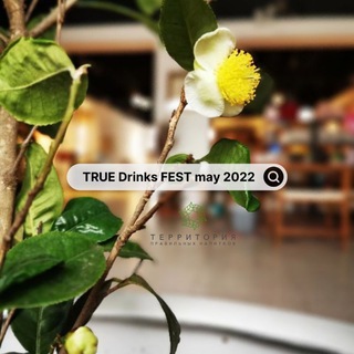 Логотип @truedrinksfest2022 - TrueDrinksFEST