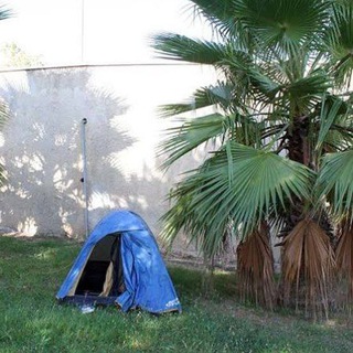 Логотип @trueexpat - Трущобы эмигранта