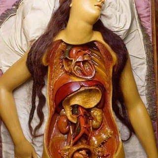 Логотип @truekpopis - .