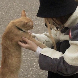 Логотип @truethin - это правда