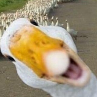 Логотип @trump1234567 - Трамп