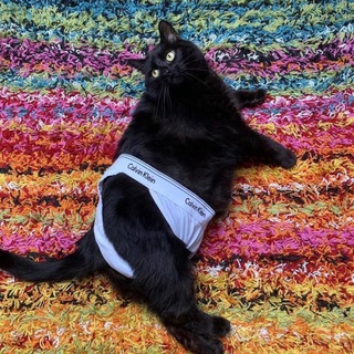 Логотип @trusek - Трусек напоказ