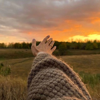 Логотип @trustyouimprove - Совершенствуй Себя