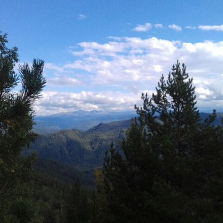 Логотип @trytobemayanist - trytobemayanist