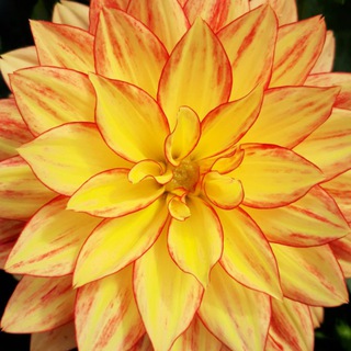 Логотип @tselitelzhizni - Целительство Жизни