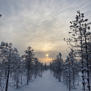 Логотип @tserkovnikov - m_tserkovnikov