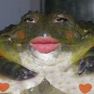 Логотип @tsiganka_sanya - Цыганка Саня