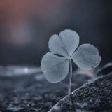 Логотип @tsitatydw - Dark Wisdom | Афоризмы, Литература