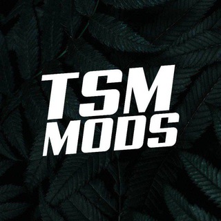 Логотип @tsm_mods - 𝙏𝙎𝙈 𝙈𝙤𝙙𝙨 | 𝘽𝙚𝙖𝙢𝙉𝙂.𝙙𝙧𝙞𝙫𝙚