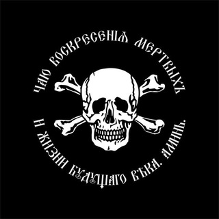 Логотип @tspolitics - Синдикат Z Отваги!