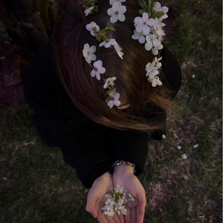 Логотип @tsuidmp - tsui’s dump