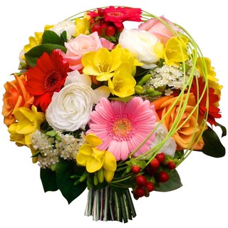 Логотип @tsveti_uz - Цветы уз - Купить цветы в Ташкенте