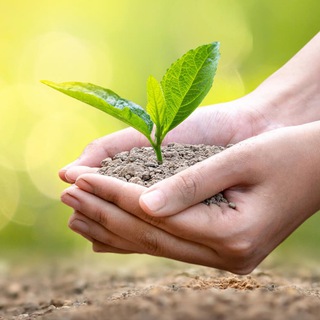 Логотип @tsvety_rastenia - Цветы и растения