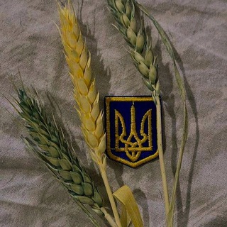 Логотип @tsytaty_ukraine - цитати українською 💌