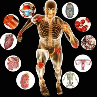 Логотип @ttauffiziologiya_2kurs - Fiziologiya| 2-kurs