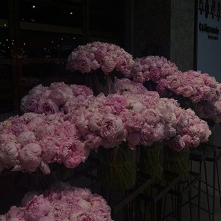 Логотип @ttazze - 89