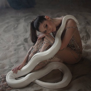 Логотип @tterriizw - terriizw | Мой Блог♥️