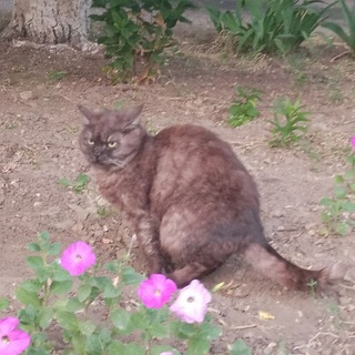 Логотип @ttgivcitimel22 - Будни ебланов) )🥷🥷🤝