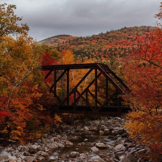 Логотип @ttime_is_fleeting - TIME IS FLEETING ☕️