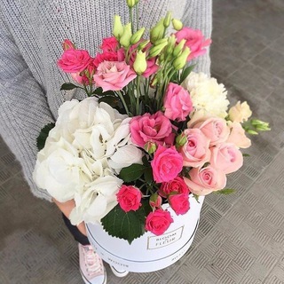 Логотип @ttnreiua - ТТН •