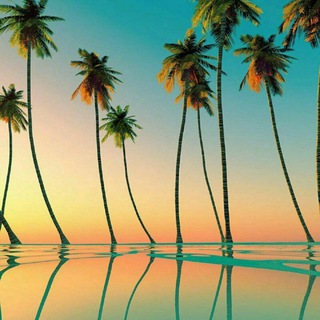 Логотип @ttttyuohdzcyhjj - Общение 💜🍂