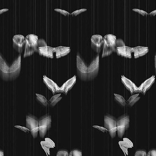 Логотип @ttxlraiy - 𝙻𝚘𝚟𝚎𝚛