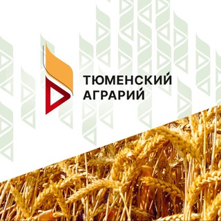 Логотип @tumagrari - ТЮМЕНСКИЙ АГРАРИЙ🍀