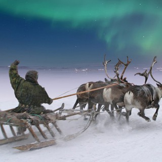 Логотип @tundrol - НИЖНИЙ бесПРЕДЕЛ