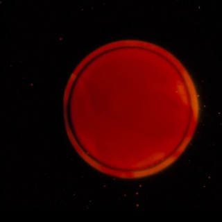 Логотип @tunelczasoprzestrzenny - tunel czasoprzestrzenny