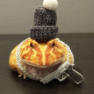 Логотип @turbofrogblog - Turbo Frog Blog